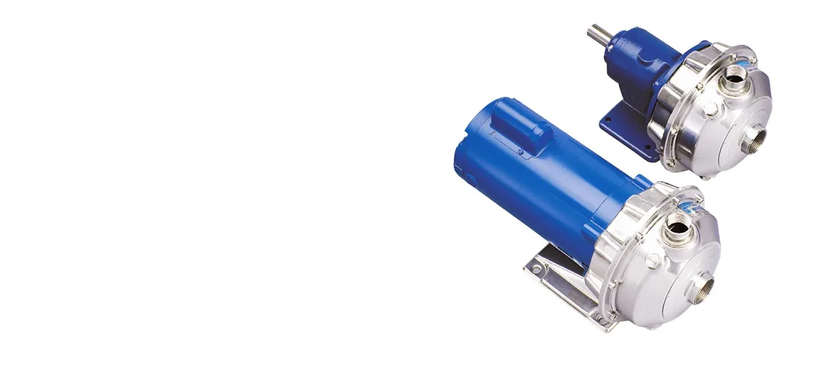 Goulds NPE and NPE-F 316L stainless steel centrifugal pumps